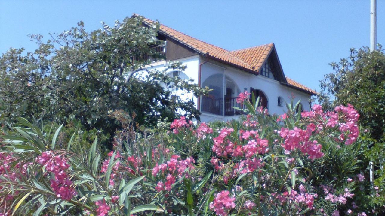 Villa Iris Vrasná Zewnętrze zdjęcie